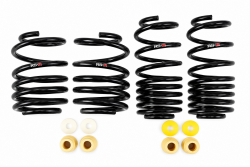 RS-R 23-26 Civic Type R FL5 Down Sus Lowering Springs